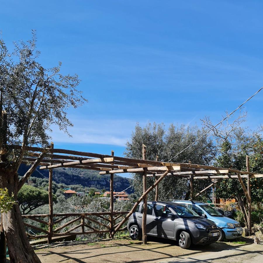 Casa Betania Da Peppe Villa Sorrento Eksteriør billede