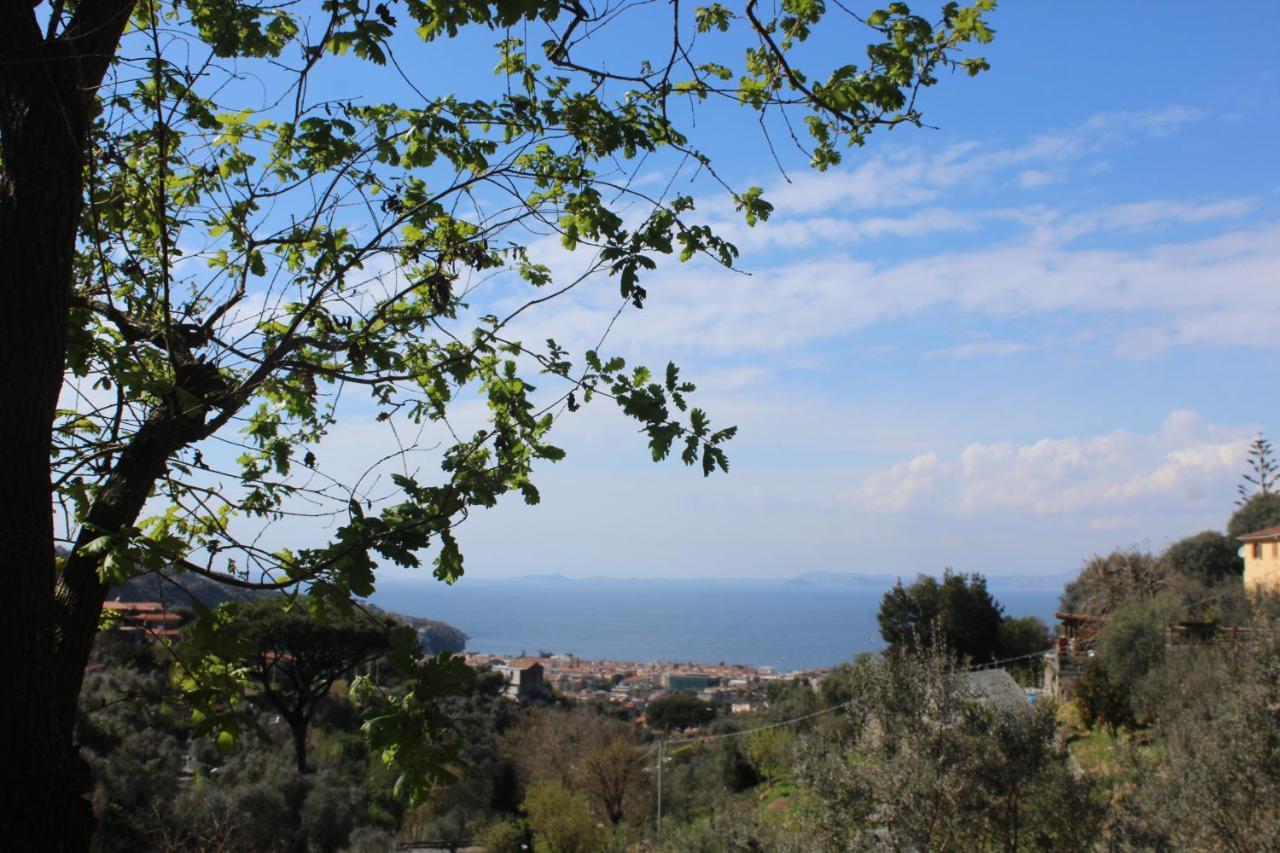Casa Betania Da Peppe Villa Sorrento Eksteriør billede