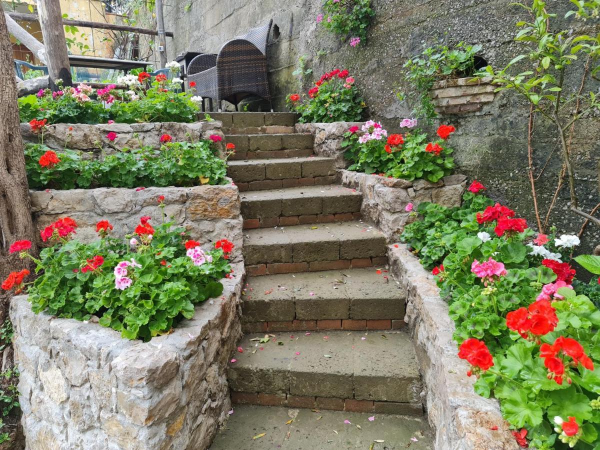 Casa Betania Da Peppe Villa Sorrento Eksteriør billede