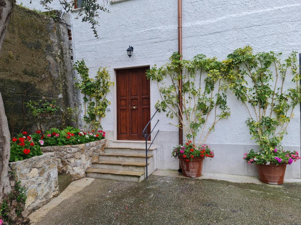 Casa Betania Da Peppe Villa Sorrento Eksteriør billede