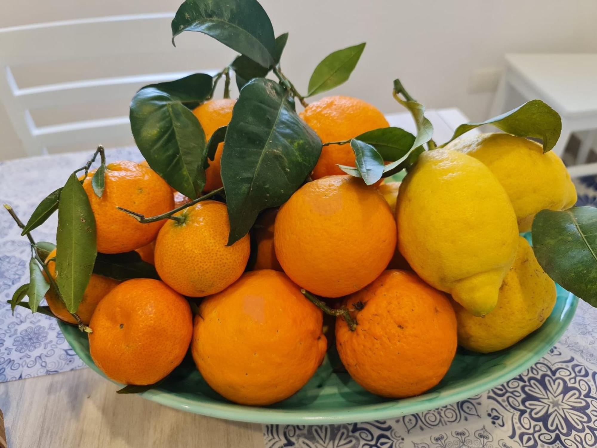 Casa Betania Da Peppe Villa Sorrento Eksteriør billede