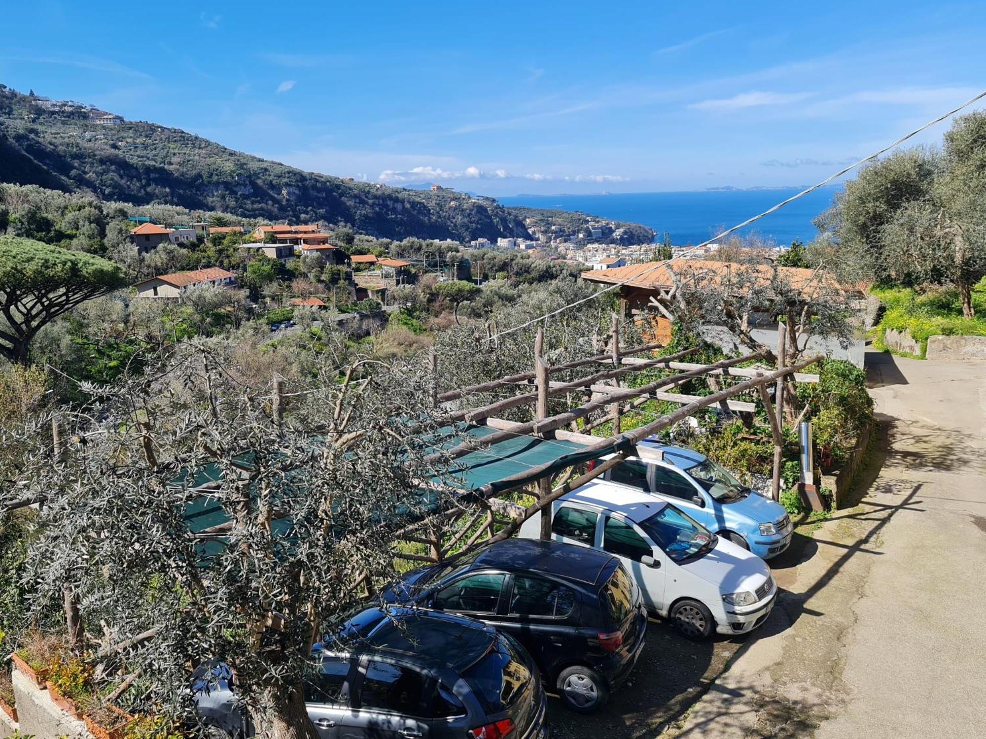 Casa Betania Da Peppe Villa Sorrento Eksteriør billede